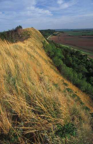 Sharp Relief of the Loess Topography