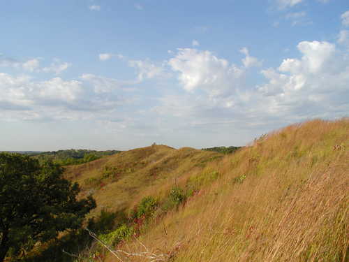 Hills and Prairie at the Hitchcock Nature Center