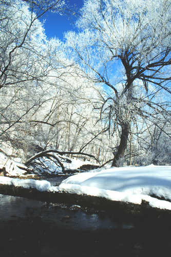 A Beautiful Winter in the Minnesota River Valley