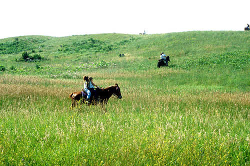 Horseback Riding on the Prairie