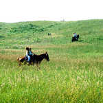 Horseback Riding on the Prairie