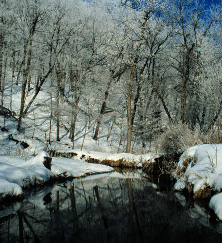 Snowy Silence in the Minnesota River Valley