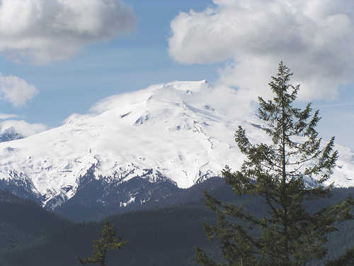 A View of Mount Rainier
