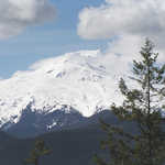 A View of Mount Rainier