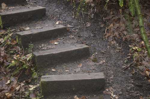 Trail Steps