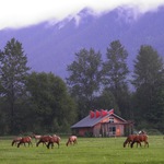 Meadowbrook Farm on the Snoqualmie Valley Floor