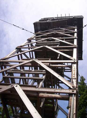 Heybrook Lookout Tower from Below