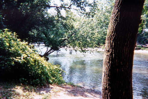 Root River