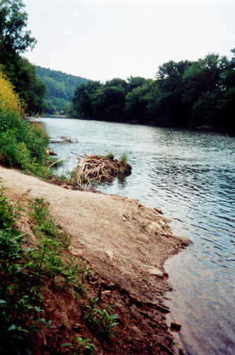 Root River Near Peterson
