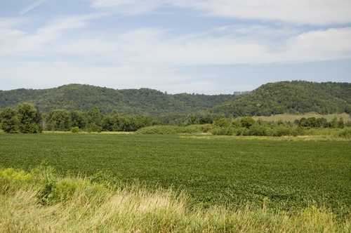 Bluffs of the Root River Valley