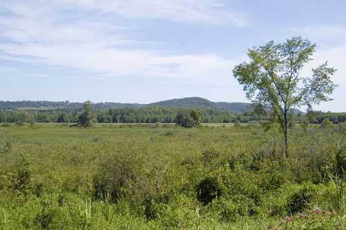 Fields near Mound Prairie