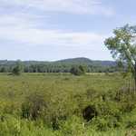 Fields near Mound Prairie