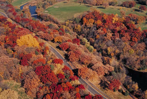 Aerial View with Fall Foliage