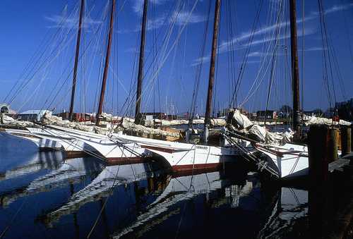 Cambridge Fleet at Long Wharf