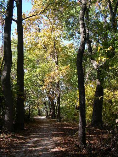 Terrapin Park Trails