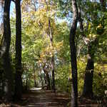 Terrapin Park Trails