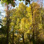 Fall Colors at Terrapin Park