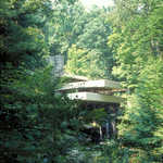 Fallingwater Amidst A Forest