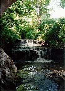 Waterfall at David