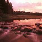 The Headwaters of the Mississippi River at Itasca State Park in Minnesota