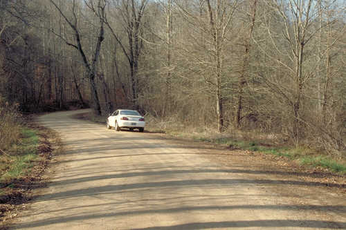 Car on a Forest Service Road