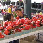 Kids Exploring a Red Sweet Pepper Stand