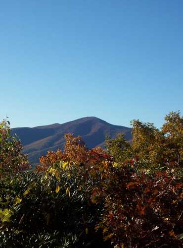 View of Cold Mountain
