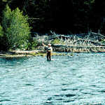 Fisherman in Clarks Fork  of Yellowstone River