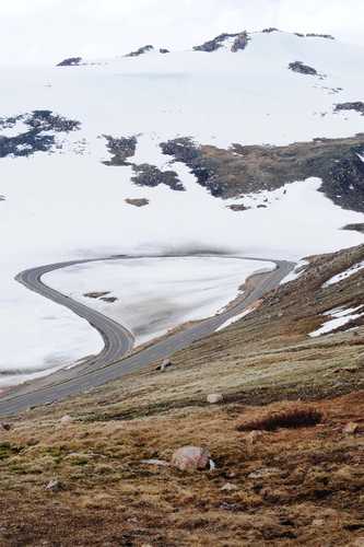 Hairpin Curve on the West Summit of Beartooth Pass