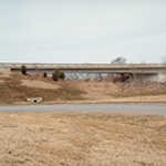 An Overpass Along the Natchez Trace