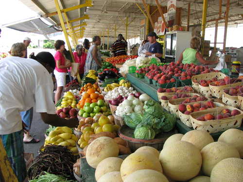 Choosing Fresh Produce at Farmer