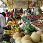 Choosing Fresh Produce at Farmer