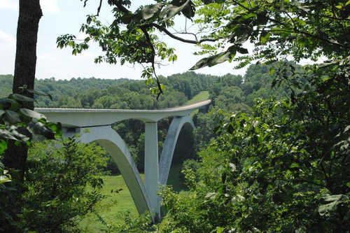 Natchez Trace Parkway Bridge through Trees in Summer
