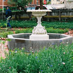 Victorian Garden at Baca Bloom Mansion