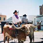 Cowboys and Longhorns