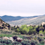 Sheep Creek Canyon