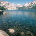 Tioga Road/Big Oak Flat Road