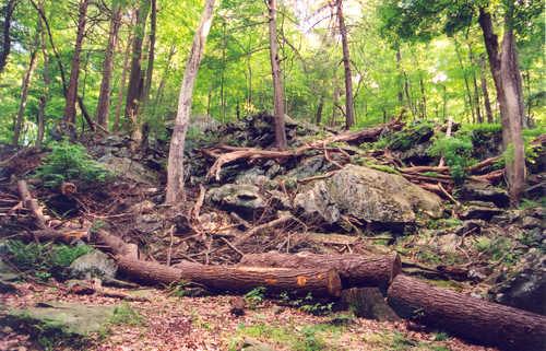 Green Rock of the Catoctin Ridge of Cunningham Falls State Park.