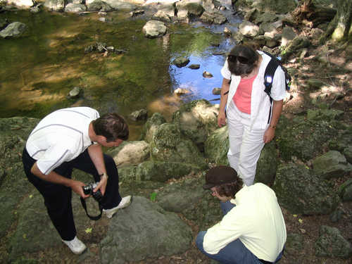Looking at Bugs at Cunningham Falls State Park