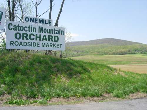 Roadside Orchard Sign