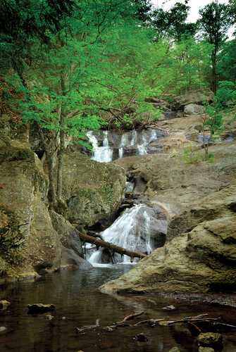 Cascading Cunningham Falls
