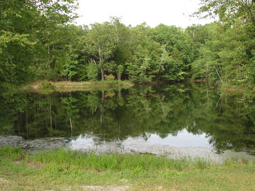A Quiet Pond at the Cedar Pond Picnic Area