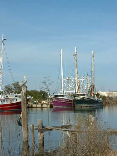 Shrimp Boats in Bayou La Batre