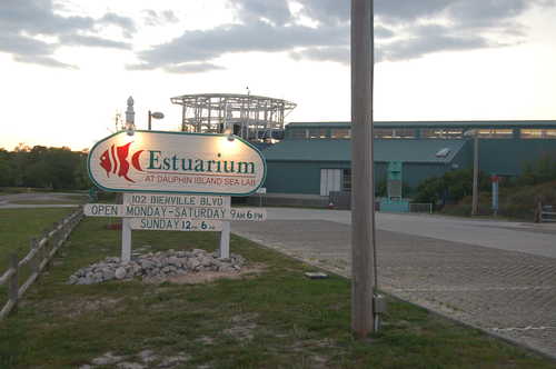 Estuarium on Dauphin Island