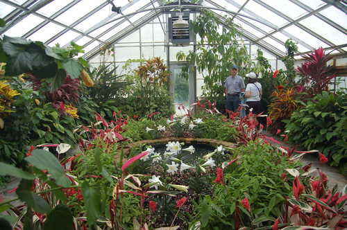 Inside the Greenhouses at Bellingrath Gardens