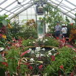 Inside the Greenhouses at Bellingrath Gardens