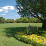 Great Lawn at Bellingrath Gardens