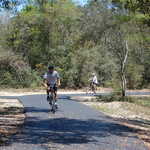 Biking Past a Curve in the Gulf Oak Ridge Trail