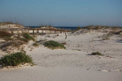 Boardwalk Across White Sands and Grasses