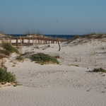 Boardwalk Across White Sands and Grasses